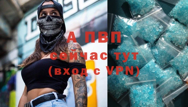 амф Беломорск