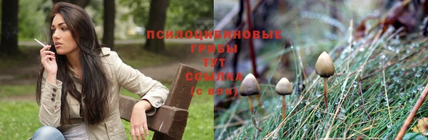 амф Беломорск