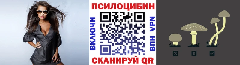 Псилоцибиновые грибы Psilocybe ссылка на мегу ссылки Луховицы